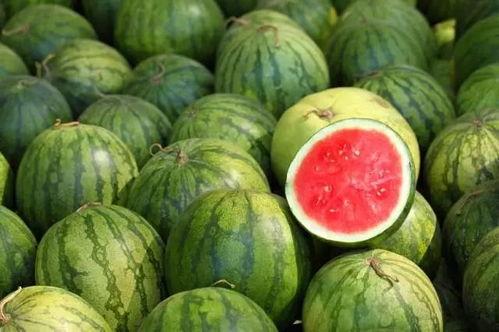 和小源吃瓜  第3张
